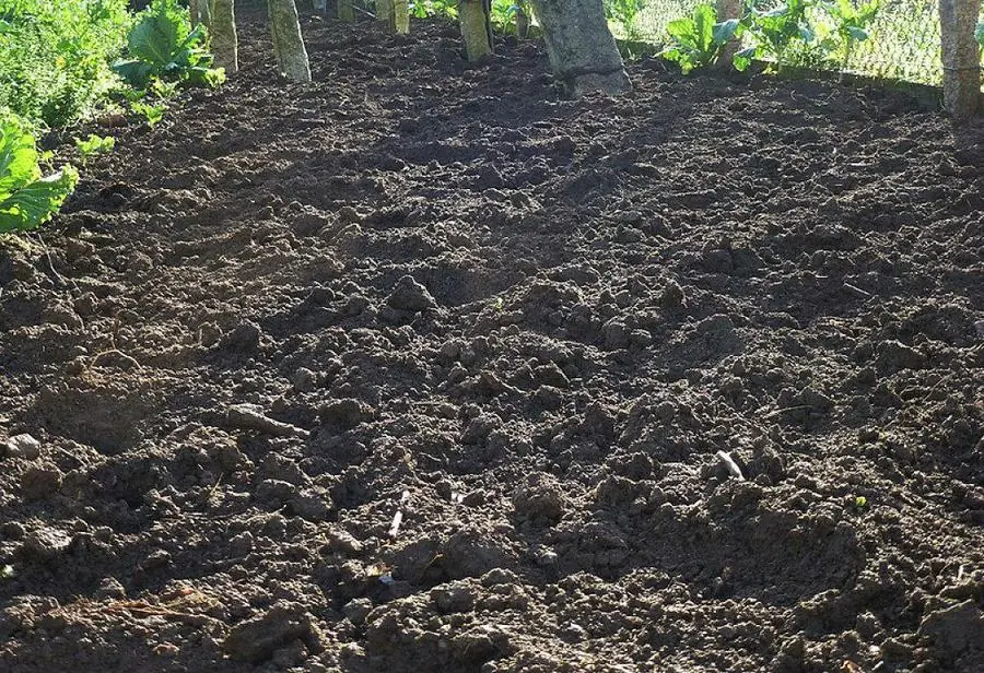 Armate una huerta organica papu