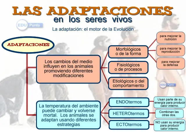 La adaptación de los seres vivos al medio