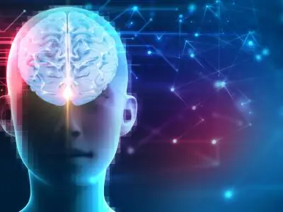 Nuestro cerebro es capaz de predecir el futuro.