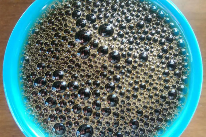 Se puede tener fobia a las burbujas del café