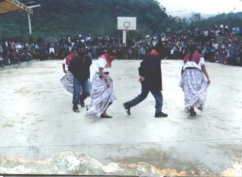 primaria