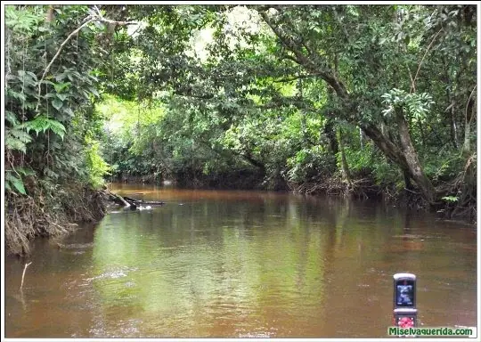 contaminacion ambiental