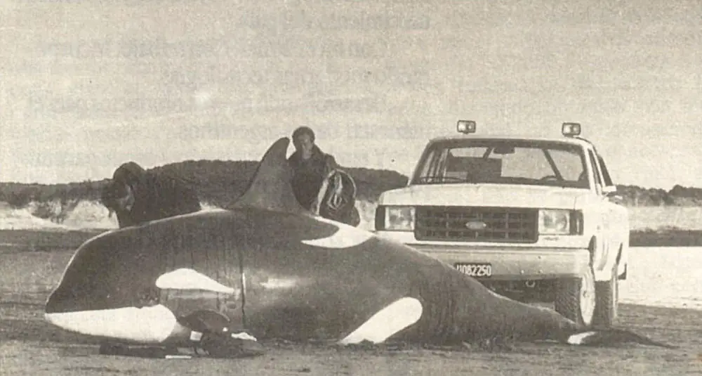 Publicidad de la Ford F-150