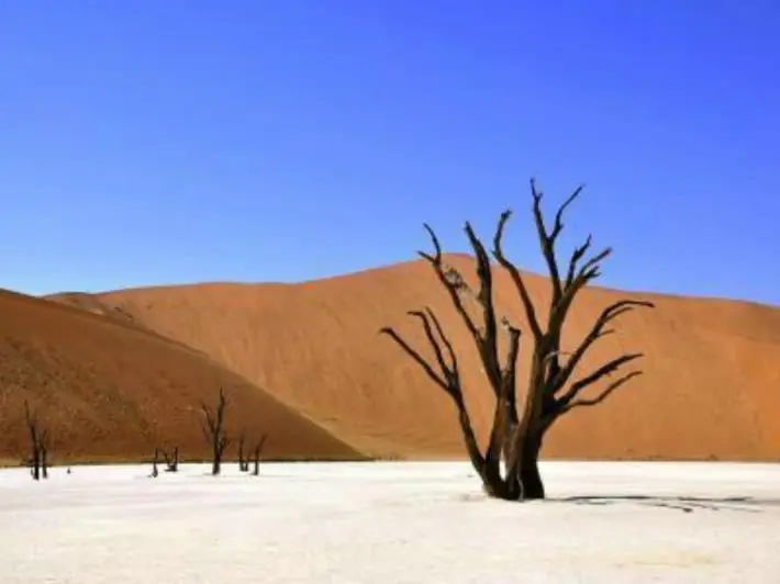 Cuando el CO2 desaparezca de la Tierra