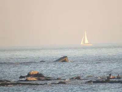 Fin de semana en Montevideo