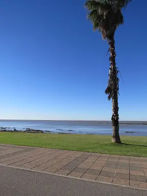 viajeros en contacto