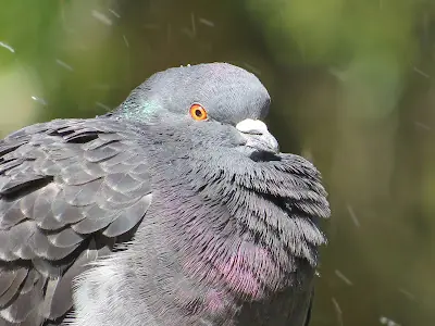 viajeros en contacto