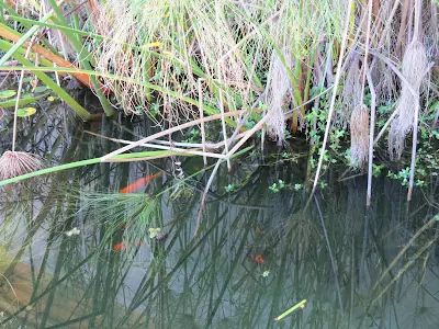 viajeros en contacto