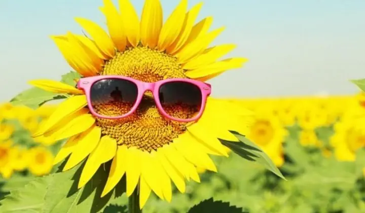 25 Curiosidades del Sol