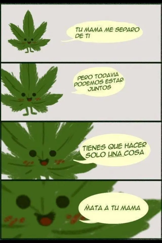 divertido divertido