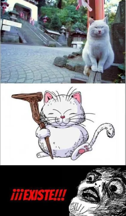 imagenes imagenes