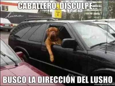 imagenes