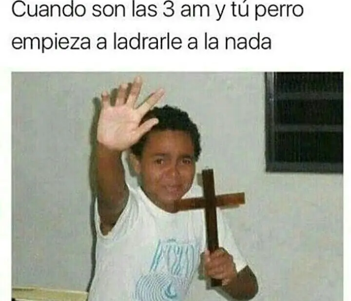 Humor para alegrar la noche +1 si te saco una sonrisa