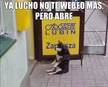 foreveralone