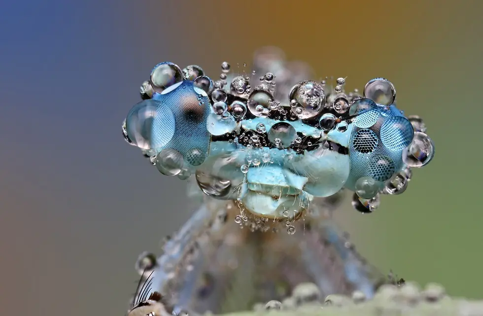 Fotografías tomadas en el momento justo