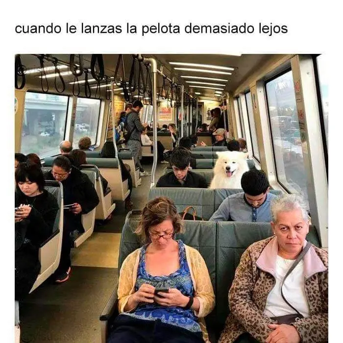 coleccion