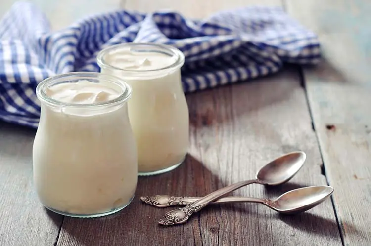 yogurt yogurt