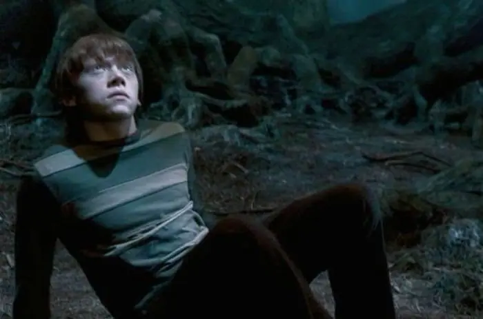 harry poter harry poter