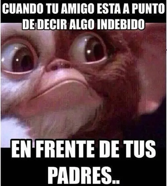 taringa