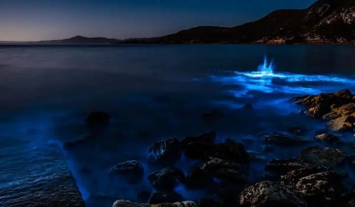 Playa de Tasmania se vuelve color azul neón