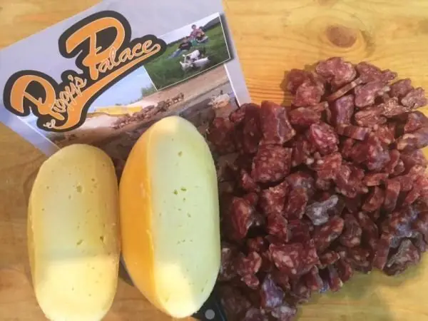 Granjero holandes produce queso con leche de cerda