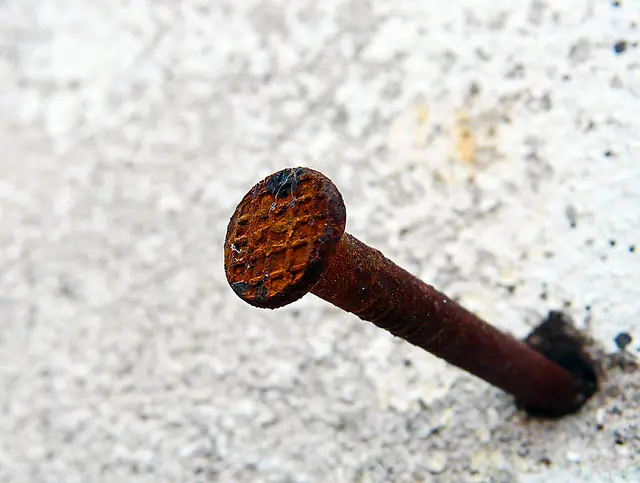 Clavos grandes