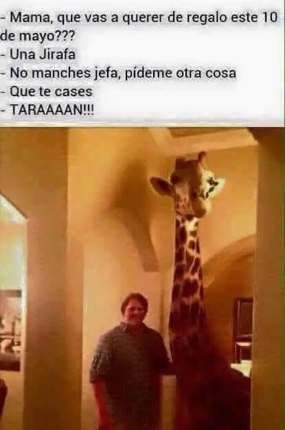 humor