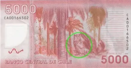 illuminati