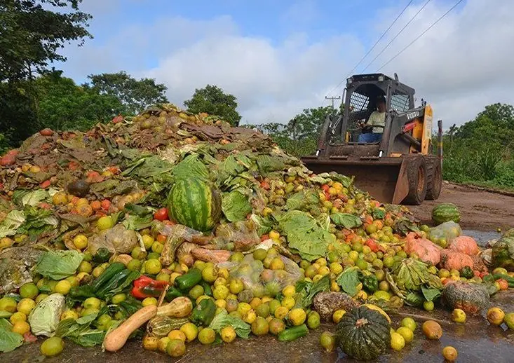 Dinamarca y el desperdicio alimentario