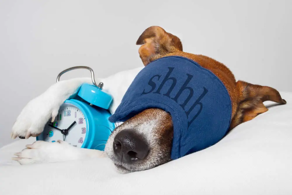 Consejos para dormir mejor y levantarte con el pie derecho