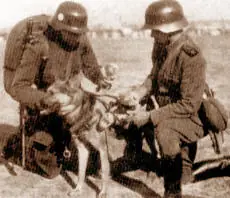 Ejército Argentino 1940-1950 fotos