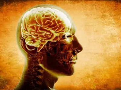El cerebro de la mujer envejece más despacio que del hombre