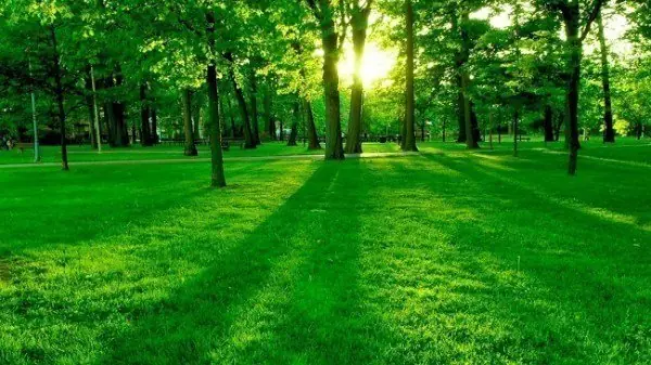 10 Reflexiones para aplicar en nuestra vida