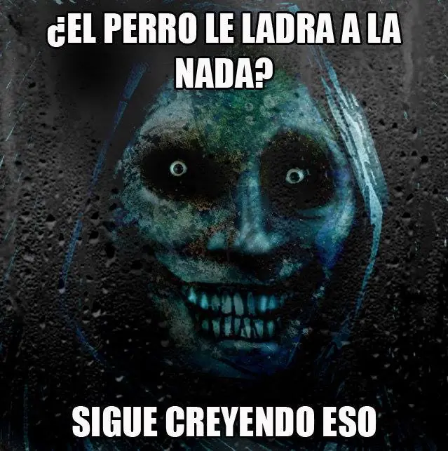 Cómo saber si tu mascota está viendo fantasmas