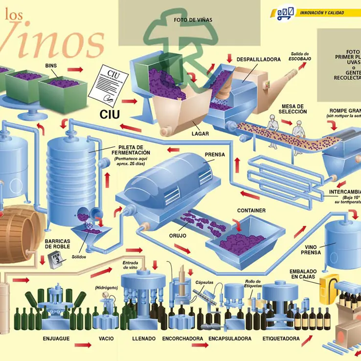 Aprende todo vinos con estas infografias