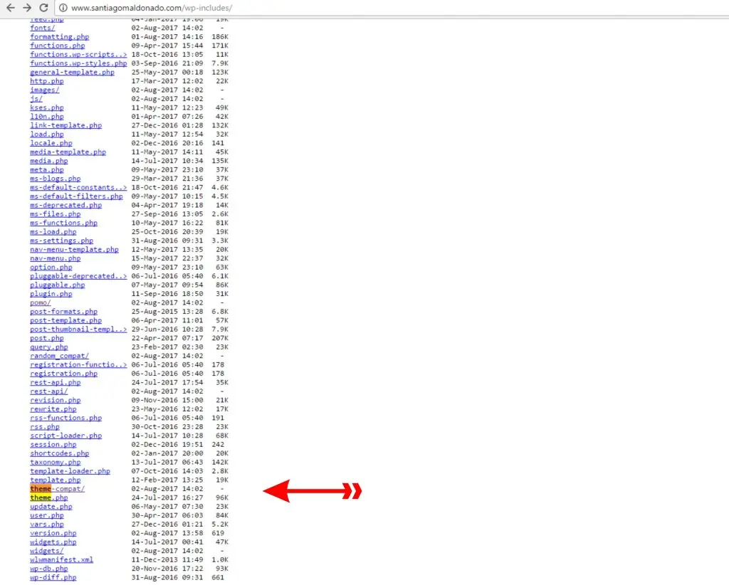 santiagomaldonadocom