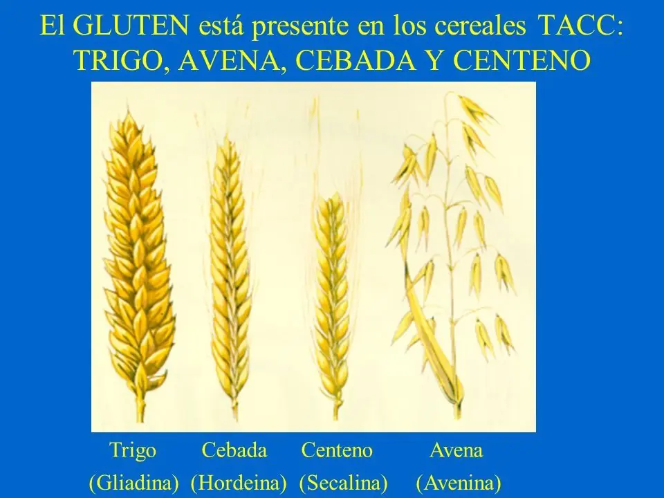 Tenes problemas gastrointestinales constantes?