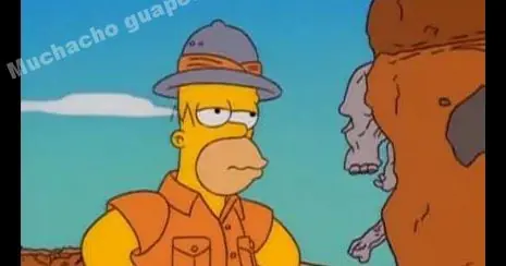 Impresionante:¡Unos monos han aprendido a usar herramientas!