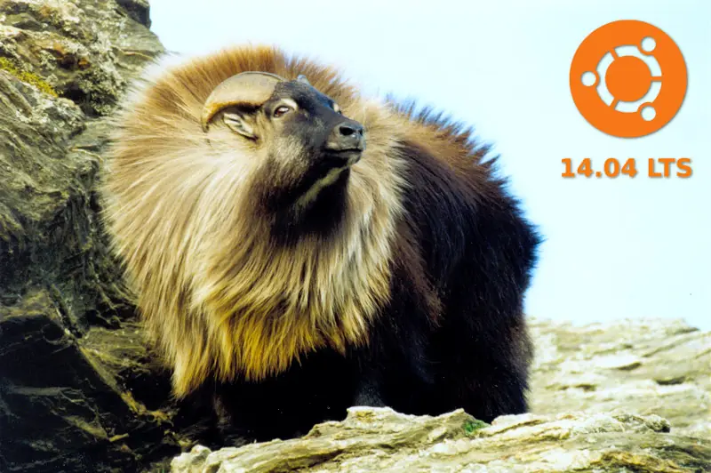 Ubuntu 14.04 Torrent Oficial (actualizado)