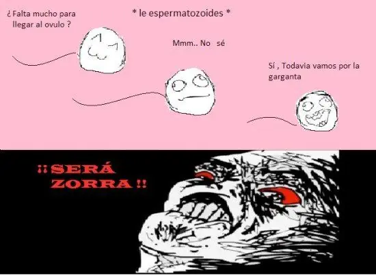 Memes, memes y mas memes 5 (+imagenes)