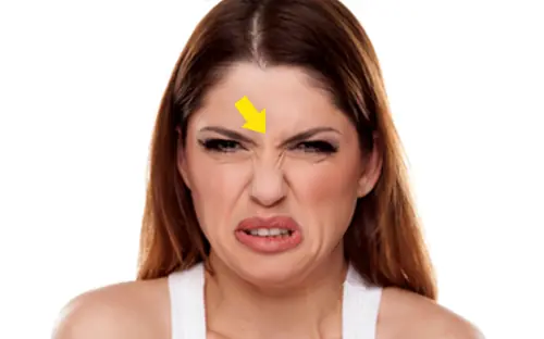 8 Partes de tu cuerpo fundamentales y no sabes nada de ellas