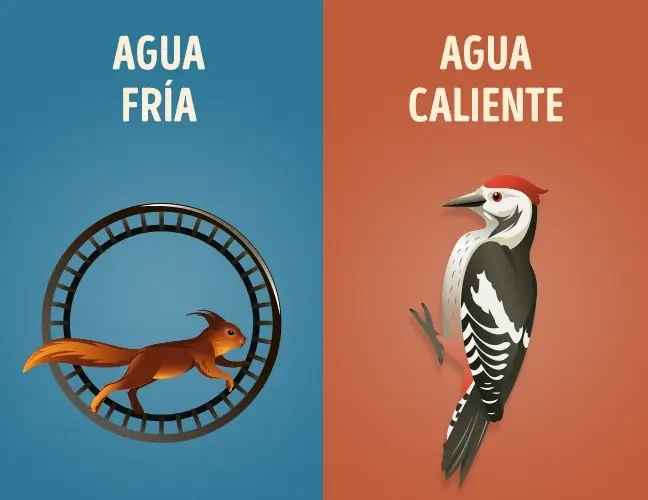 6 Diferencias entre la ducha fría y la caliente 6 Diferencias entre la ducha fría y la caliente