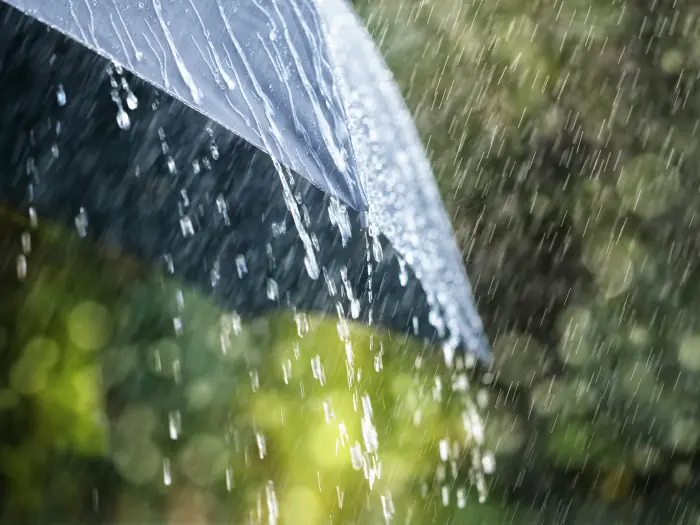 5 Datos o curiosidades de la lluvia que quizás no conocías
