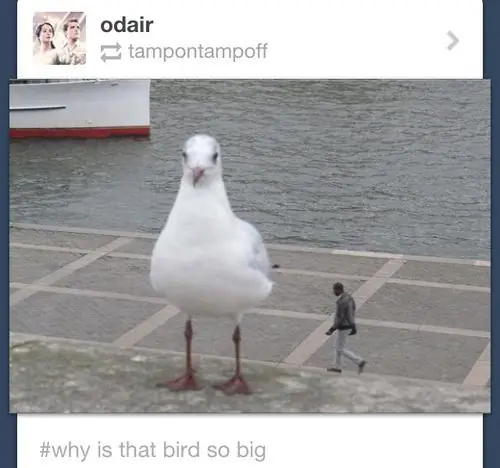brutal
