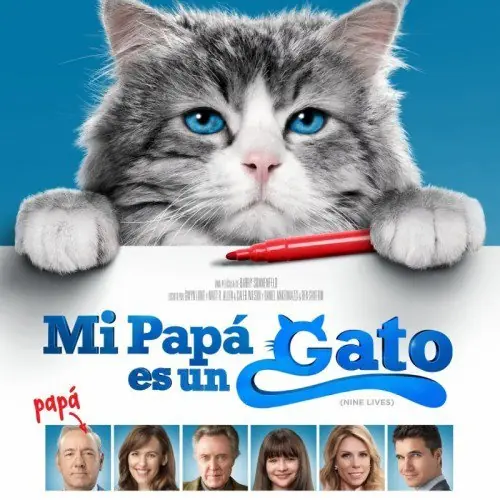nuevo