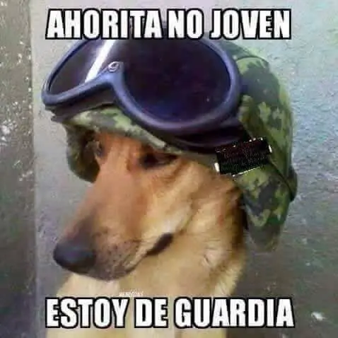 divertido