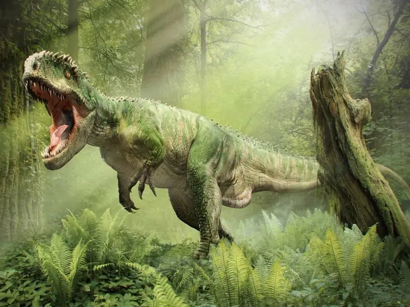 Cuántos años vivían los dinosaurios?