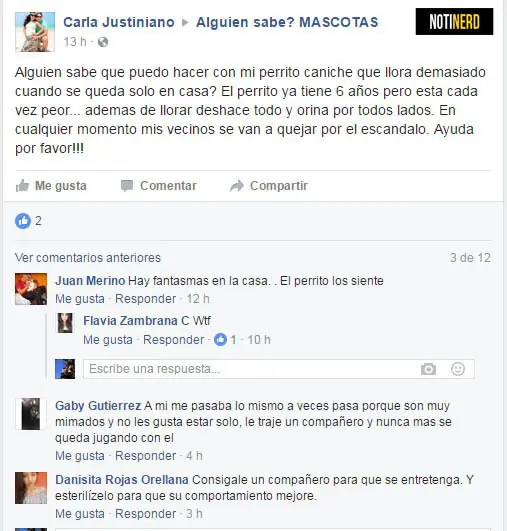 Preguntas y respuestas épicas que te harán reír