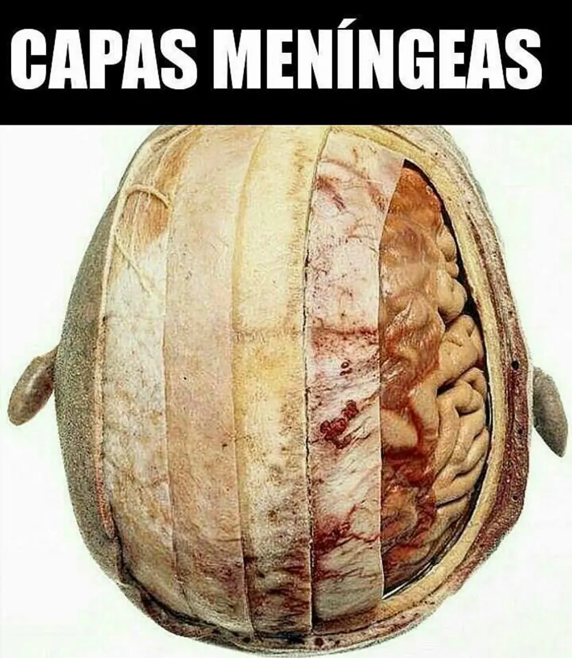 medicos medicos