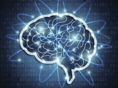 El cerebro también tiene vasos linfáticos